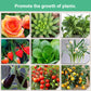 💥Last Day Promotion 49%OFF💥 Slow-Release Organic Fertilizer In Stick Form For Indoor Plants