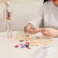🧑‍🎄🎁Great Gift For Kids🧑‍⚕️Clear Human Body Structure Model