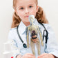 🧑‍🎄🎁Great Gift For Kids🧑‍⚕️Clear Human Body Structure Model