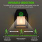 ⏳ Motion Sensor Solar Tungsten Wall Light
