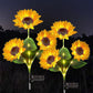 🌻50% OFF FLASH SALE ! Sunflower Solar Lights – Glowing Decor for Garden ✨🌿【Hurry Up】