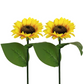 🌻50% OFF FLASH SALE ! Sunflower Solar Lights – Glowing Decor for Garden ✨🌿【Hurry Up】