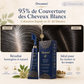 Herbal Hair Dye Comb for Home Use