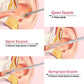 Stainless Steel Earwax Cleaner（6PCS Set）