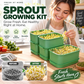🌱 Stackable Bean Sprout Grower Box with Lid