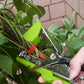🔥2026 HOT SALE🔥Garden Bundled Branch Tool