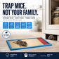 ⏳🔥LIMITED-TIME 50% OFF! ⏰Mouse Glue Trap Indoor Use for Home