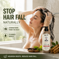🌿 Qiweitang Anti-Hair Loss Care Shampoo