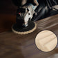 🔥Buy 1 Get 1 Free🔥Wool felt flap disc polishing disc