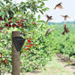 🌾50% OFF NOW! Waterproof Solar Outdoor Bird Repeller‑Timing Ultrasonic Bird Deterrent, Solar‑Powered Bird Scarer for Garden Orchard Crop Protection