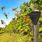 🌾50% OFF NOW! Waterproof Solar Outdoor Bird Repeller‑Timing Ultrasonic Bird Deterrent, Solar‑Powered Bird Scarer for Garden Orchard Crop Protection