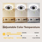 ✨ Summer 50%❄️Remote Control Ceiling Fan with Light