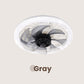 ✨ Summer 50%❄️Remote Control Ceiling Fan with Light