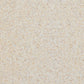 🎨2026 Matte Mara Stone Art Wall Paint for Outdoor & Indoor - The Ultimate Wall Covering Choice🌿