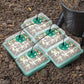 🔥Seed Starter Trays with Grow Light