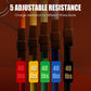 ⏰ Last Day 50% OFF🔥13PCS Resistance Band Set with Handle for Home Gym