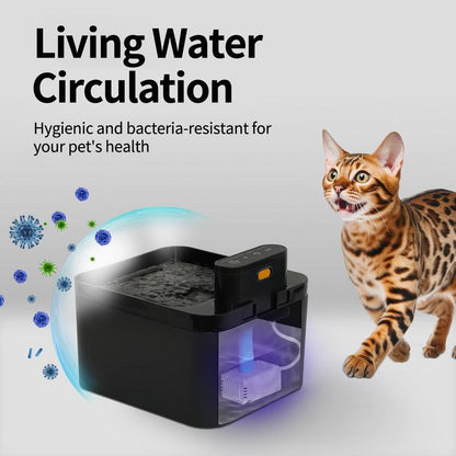 🎁2026 New Arrivals 60% OFF💥Smart Motion-Sensing Cat Water Fountain – Fresh Flowing Water, Only When Your Cat Approaches! | Encourages Drinking, Prevents UTIs 🩺💚