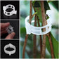 💥2026 Hot Sale 50% OFF💥 Secured Plastic Plant Clip（BUY 1 GET 1 FREE）