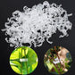 💥2026 Hot Sale 50% OFF💥 Secured Plastic Plant Clip（BUY 1 GET 1 FREE）