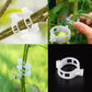 💥2026 Hot Sale 50% OFF💥 Secured Plastic Plant Clip（BUY 1 GET 1 FREE）
