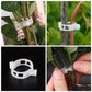 💥2026 Hot Sale 50% OFF💥 Secured Plastic Plant Clip（BUY 1 GET 1 FREE）