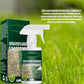 🔥Last Day Sale 60%🔥Green Grass Paint Spray🌿✅