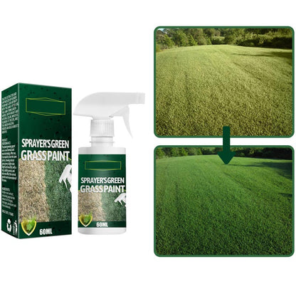🔥Last Day Sale 60%🔥Green Grass Paint Spray🌿✅