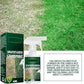 🔥Last Day Sale 60%🔥Green Grass Paint Spray🌿✅