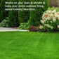 🔥Last Day Sale 60%🔥Green Grass Paint Spray🌿✅