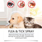 🍃Natural Flea & Tick Foam for Dogs and Cats🐾 Keep Your Beloved Pet Free from Pests