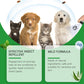 🍃Natural Flea & Tick Foam for Dogs and Cats🐾 Keep Your Beloved Pet Free from Pests
