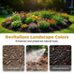 🎁50% OFF💥Mulch & Gravel Anchor Glue for Landscaping