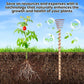 🌿 Electroculture antenna – increase yields by 70%, reduce pesticides, no fertilizer needed! ⚡🍀