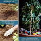 🌿 Electroculture antenna – increase yields by 70%, reduce pesticides, no fertilizer needed! ⚡🍀