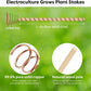 🌿 Electroculture antenna – increase yields by 70%, reduce pesticides, no fertilizer needed! ⚡🍀
