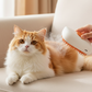 3-in-1 Pet Spray Grooming Comb