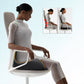 ⏳Time-Limited Special⏰ 49% OFF！Ergonomic Seat Cushion With Lumbar Support
