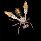 🐝 LIMITED‑TIME 50% OFF! ⚙️ 3D Metal Bee Puzzle Assembly Model Kit – Intricate, DIY‑Fun, Collectible ✨