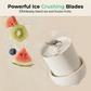 Portable Rechargeable Blender with Straw