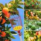 Fruit Picker Basket