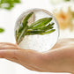 Silicone Ice Ball Molds for Whiskey