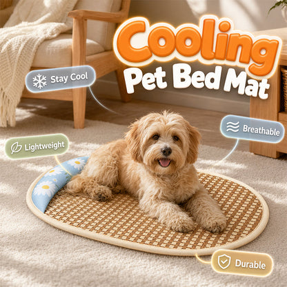 🔥Summer Hot Sale 50% OFF🧊Summer Cooling Dog Bed with Rattan Mat and Supportive Pillow Border