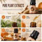 Halloween Scented Essential Oil Set