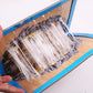 ⏳🔥LIMITED-TIME 50% OFF! ⏰Mouse Glue Trap Indoor Use for Home