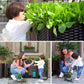 🌱 SAVE 49%! 🥬 Multifunctional Planting Box – Grow Veggies & Herbs Easily – Self-Watering, Reinforced PP & Sturdy Stable Design ✨