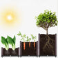 🌱 SAVE 49%! 🥬 Multifunctional Planting Box – Grow Veggies & Herbs Easily – Self-Watering, Reinforced PP & Sturdy Stable Design ✨