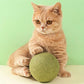 Huge Catnip Balls | Let your cat love it