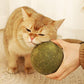 Huge Catnip Balls | Let your cat love it