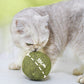 Huge Catnip Balls | Let your cat love it