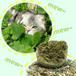 Huge Catnip Balls | Let your cat love it